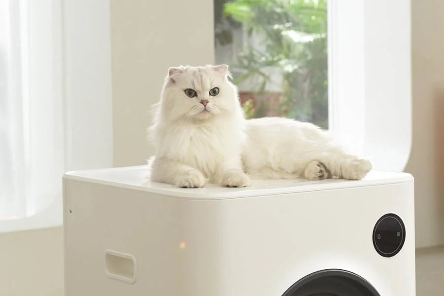 litter box that cleans itself