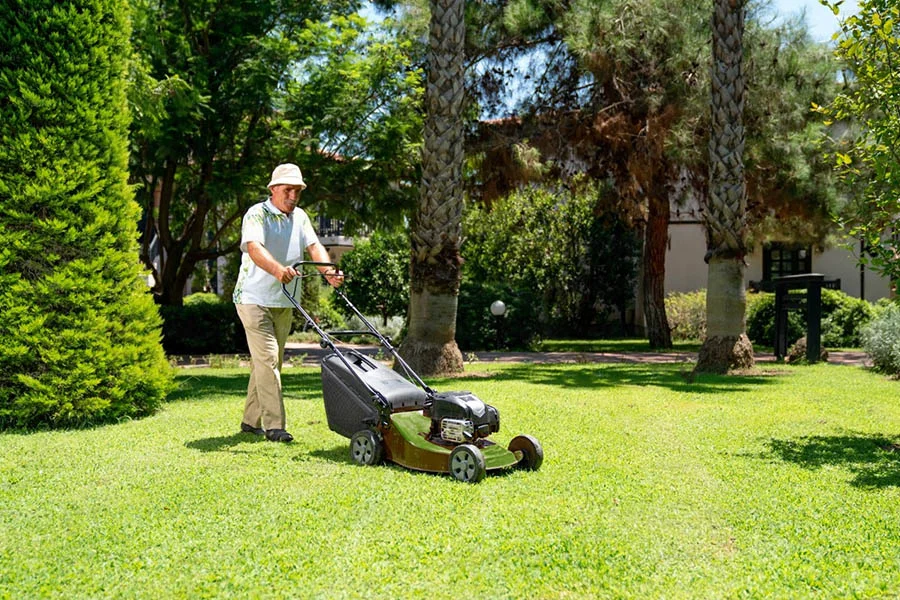 best electric push mower